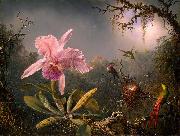 Martin Johnson Heade Cattleya Orchid and Three Hummingbirds France oil painting artist